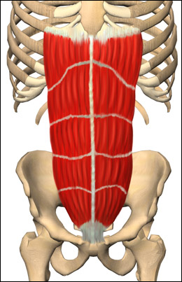 tacoma bridge posture example